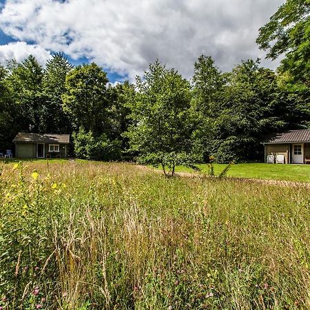 Kievit Villa Appelscha Bagian luar foto