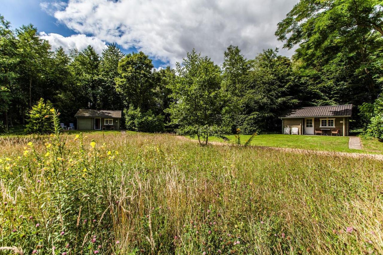 Kievit Villa Appelscha Bagian luar foto