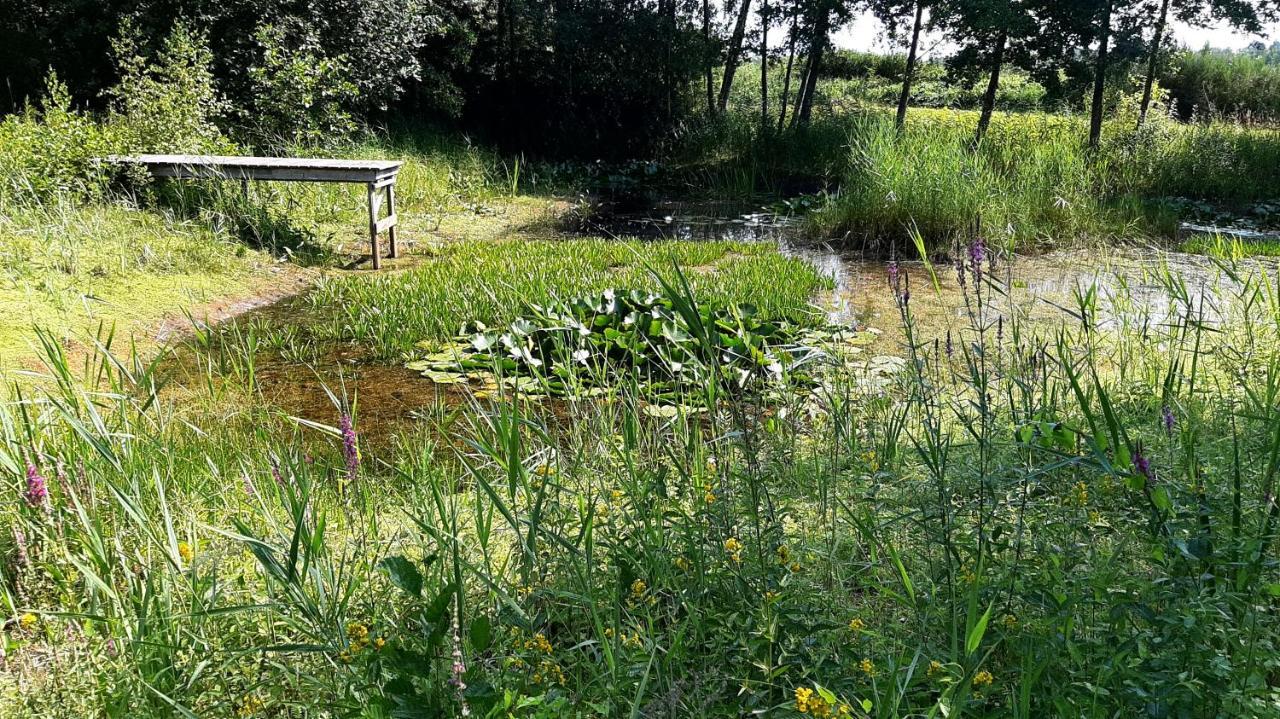 Kievit Villa Appelscha Bagian luar foto