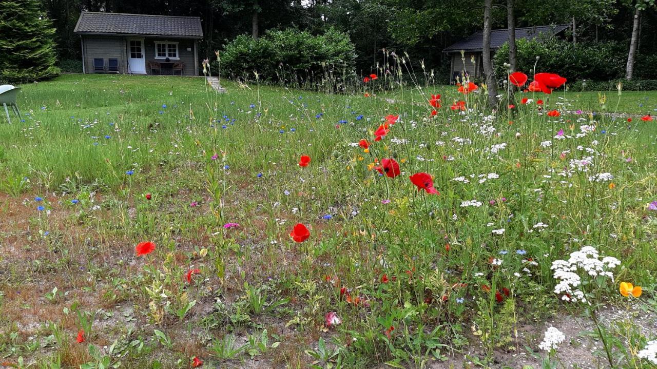 Kievit Villa Appelscha Bagian luar foto