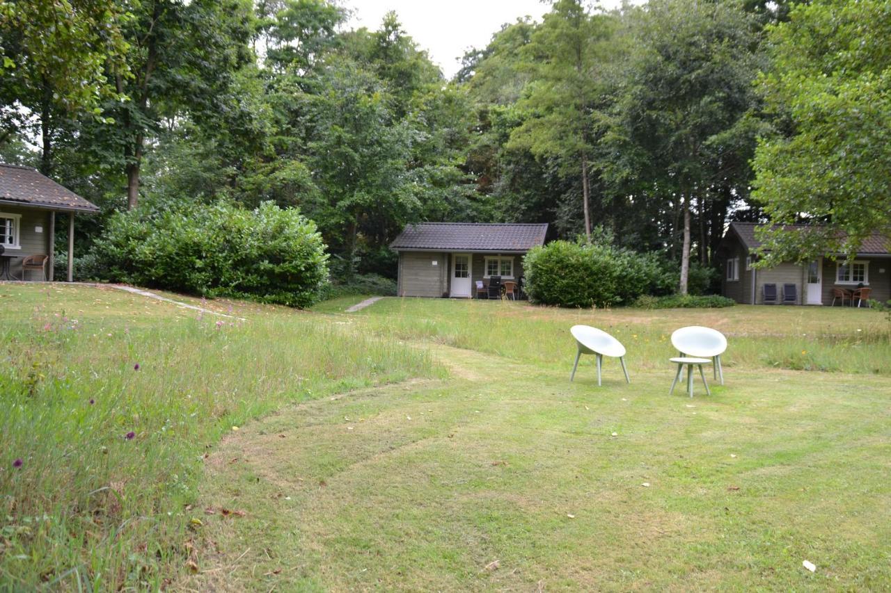 Kievit Villa Appelscha Bagian luar foto